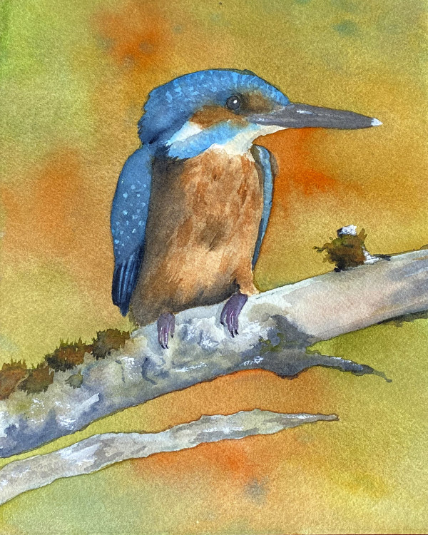 Kingfisher by Cheryl Dinsdale