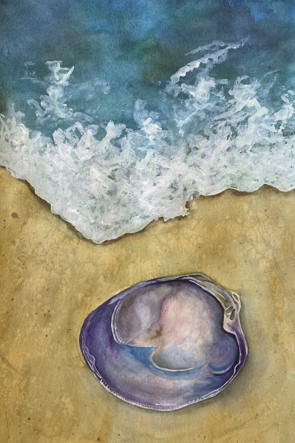 Quahog by Cheryl Dinsdale