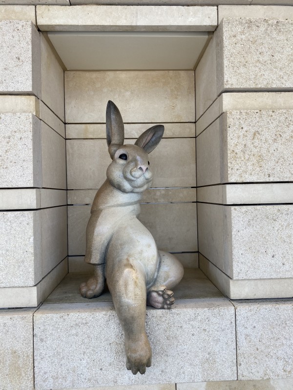 Cotton Tail Rabbit #1 by Pokey Park