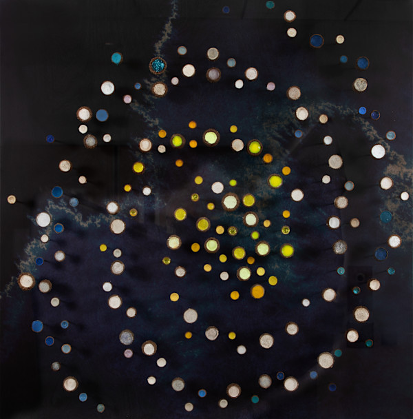 Cosmos by Julie Maren
