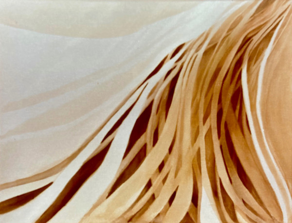 Dreams & Goals by Brett Newton