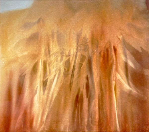 Bloom Shadow by Brett Newton, Image 1.