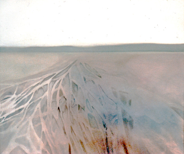 Lake Roots by Brett Newton