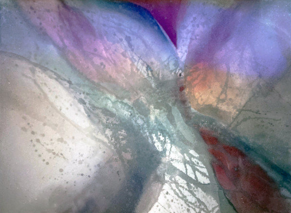 Sweet and Strong by Brett Newton