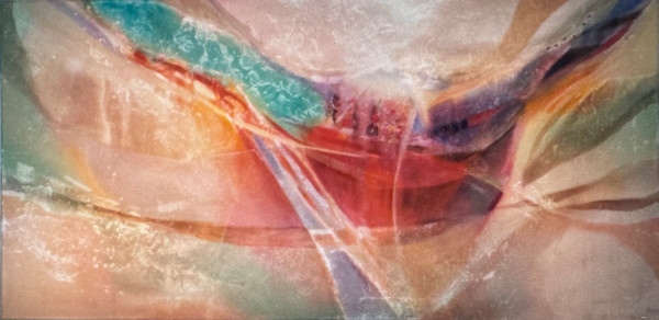 Womanstories by Brett Newton