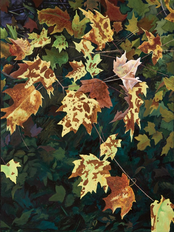Leaves by Lisa