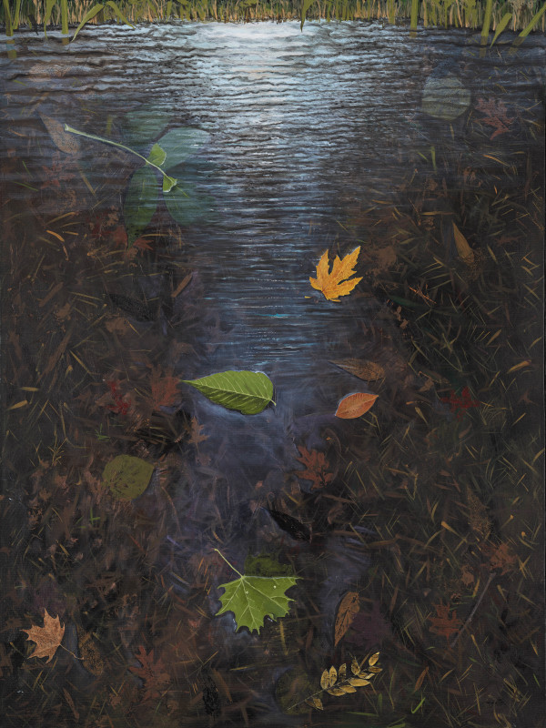 Pond by Lisa
