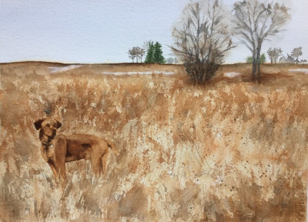 Prairie by Rita Prahl