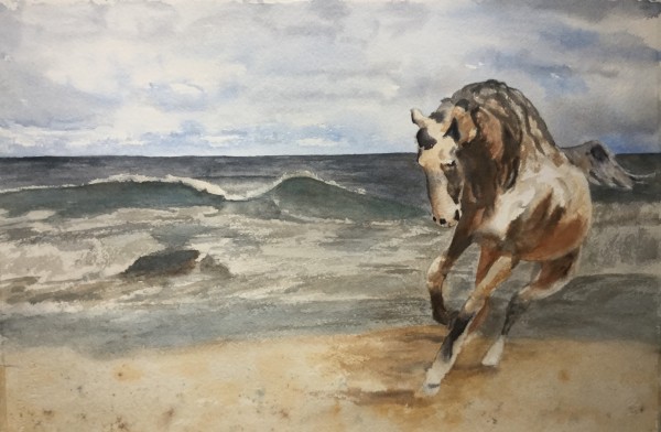 Corolla Horses of the Outer Banks