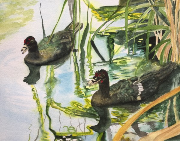 Ducks by Rita Prahl