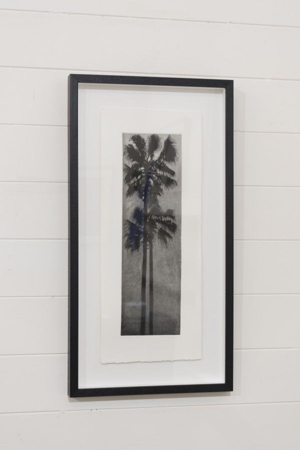 Night Palms by Peter Hickey