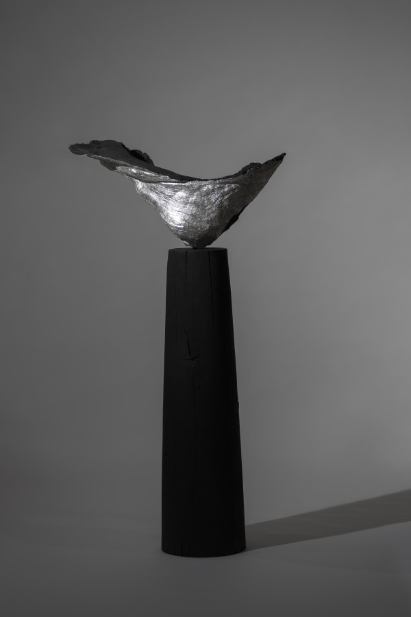 Relic - Silver by Thomas Bucich