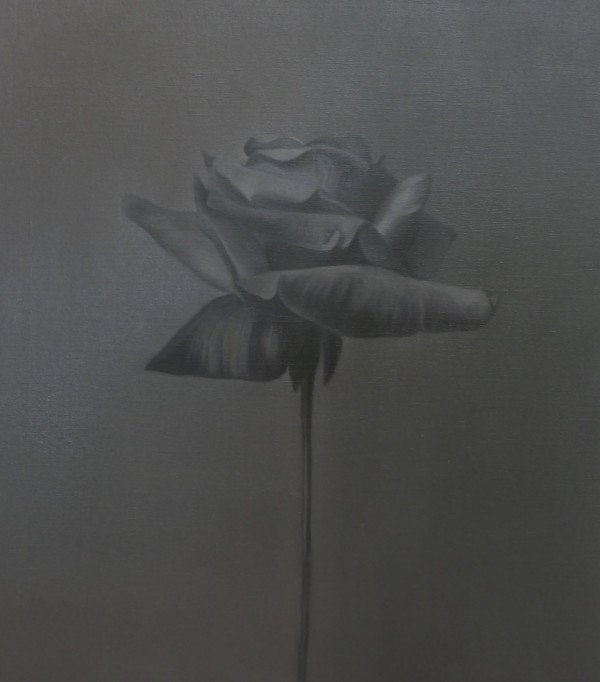 Dark Silver by Leanne  Thomas
