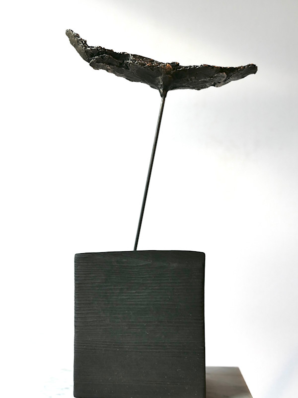 Meditations on the Icarus Effect II by Thomas Bucich