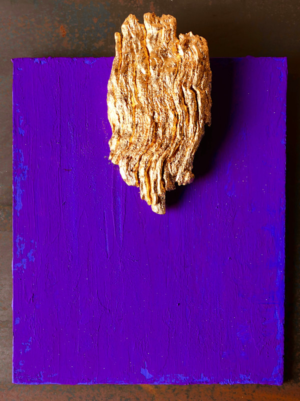 Ascension Panel I by Thomas Bucich