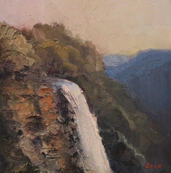 Fitzroy Falls by Steve Salo