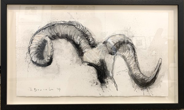 Ram Horns II by Thomas Bucich