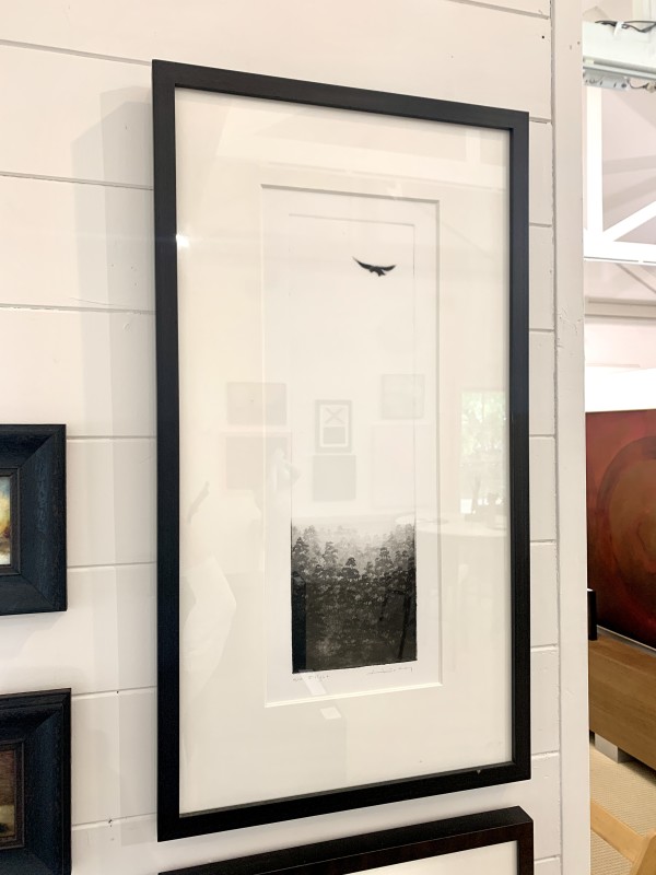Flight A/P - Framed by Peter Hickey