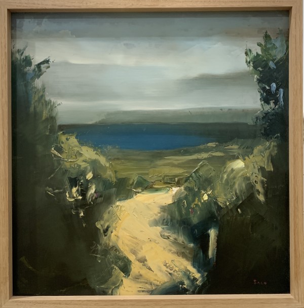 Mornington Track by Steve Salo