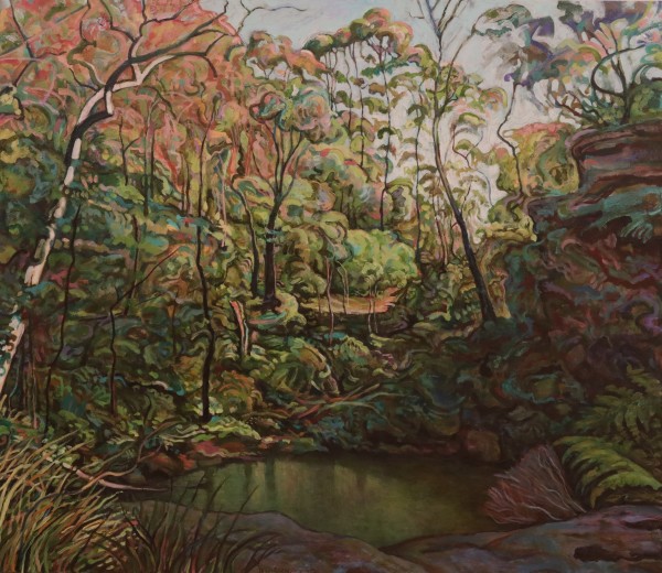 Light Into The Valley (Nattai River, Southern Highlands) by Justin Pearson