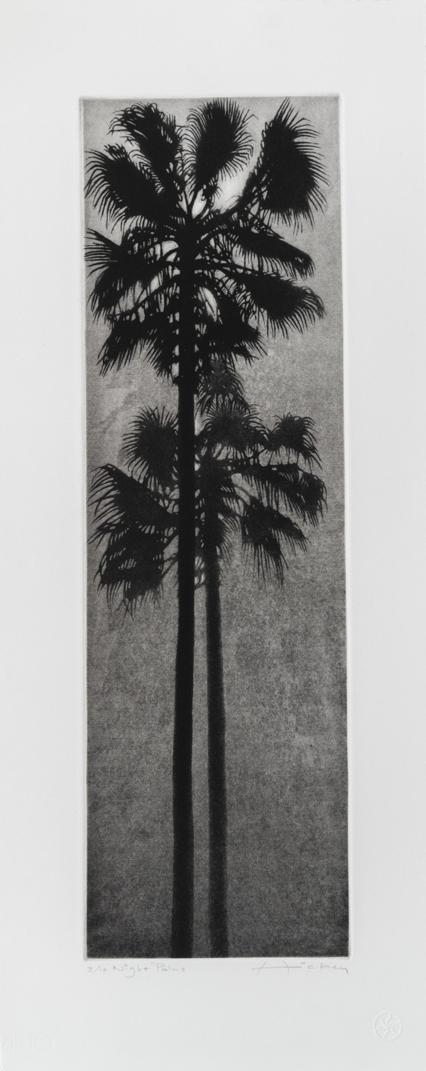 Night Palms ed 3/10 unframed by Peter Hickey