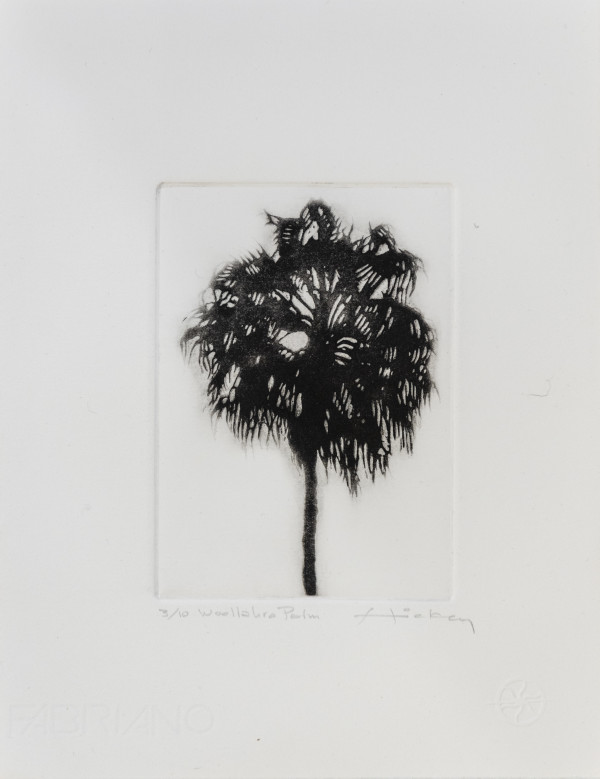 Woollahra Palm ed. 3/10 unframed by Peter Hickey