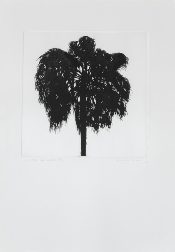 Motherwell Palm ed. 4/10 unframed by Peter Hickey