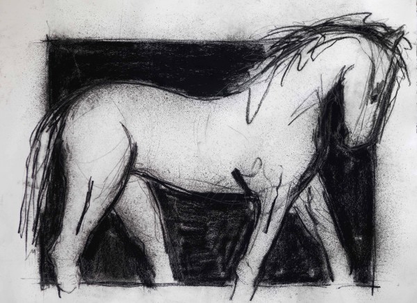 Large Equine Study by Thomas Bucich
