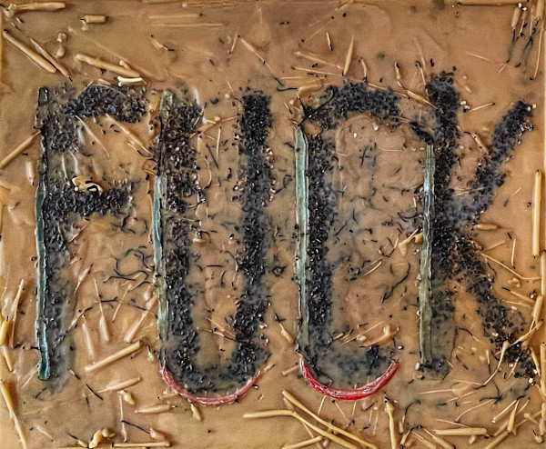 Burned the Last Fuck by Amanda Jolley