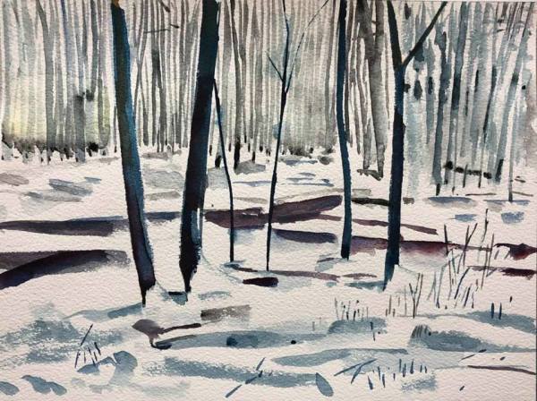 Thorp Woods by Brian Frink