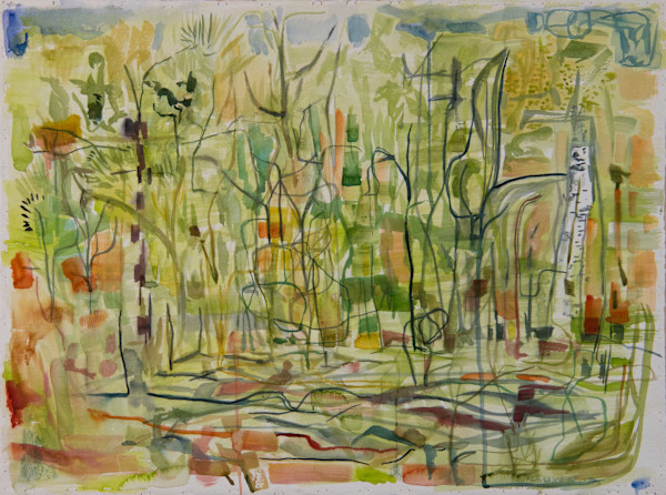Birch Tree by Brian Frink