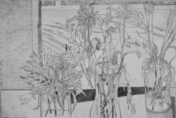 Still Life and Field