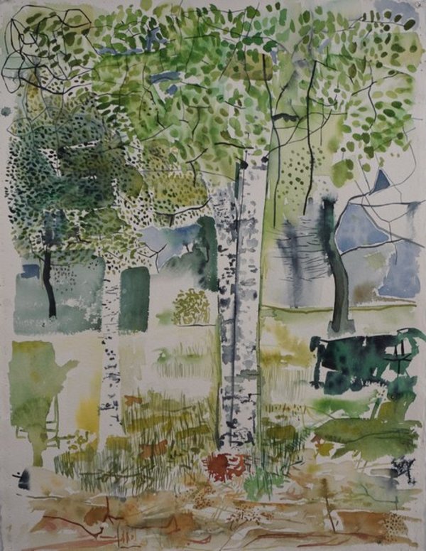 Two Birch Trees