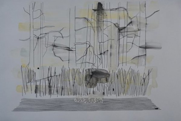 Island and Water