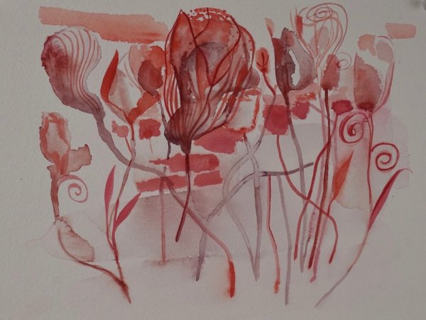 Garden of Roses