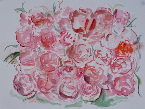 Roses