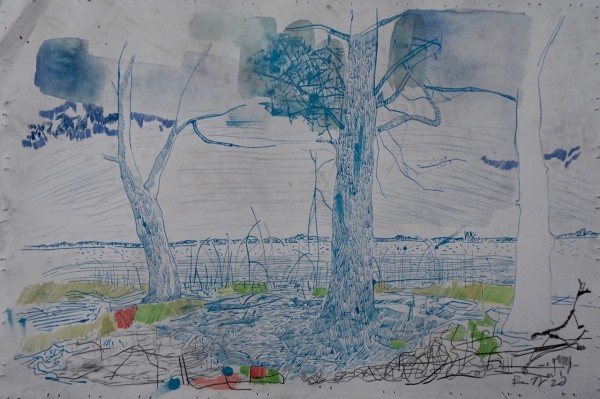 Edge of Field