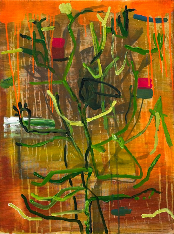 Plants by Brian Frink