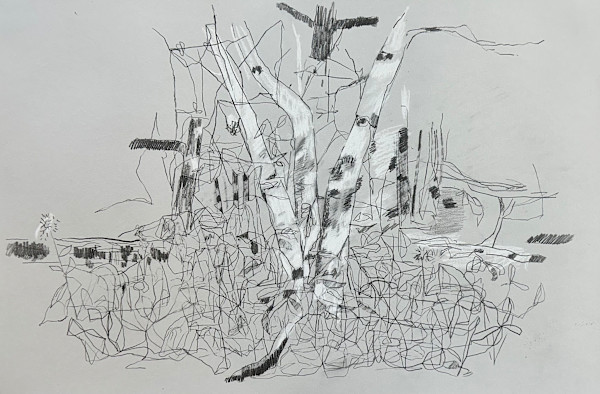 Birch Trees, Bear Head Lake by Brian Frink