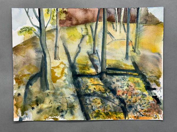 Trees on Hill, Island Lake by Brian Frink, Image 1.
