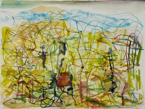 Mountain and Forest by Brian Frink