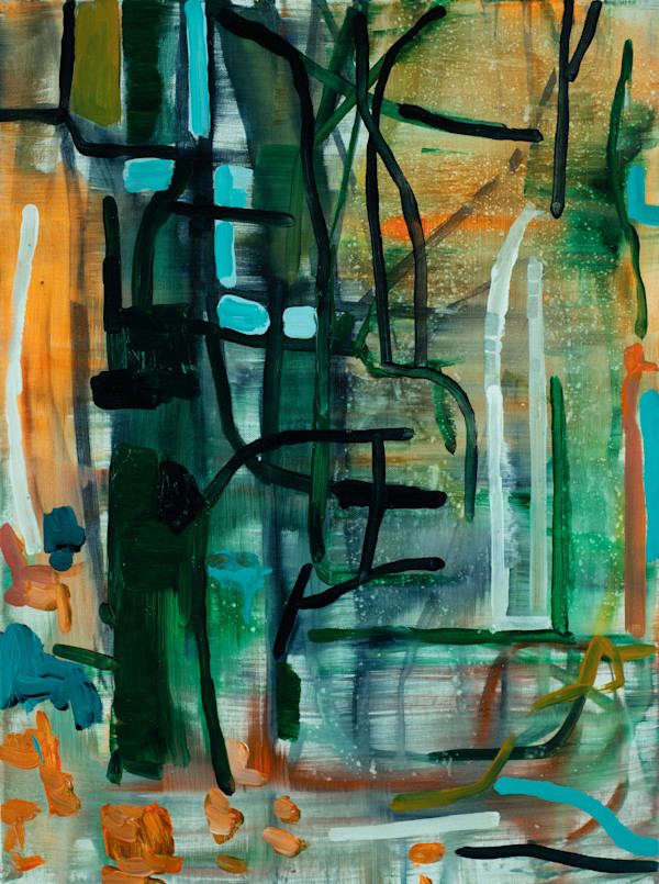 Woods Bear Head Lake by Brian Frink