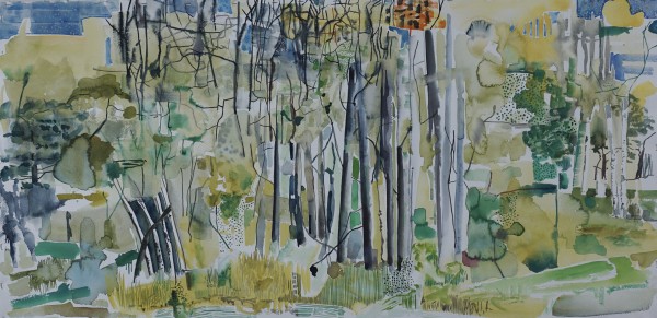 Jack Pine and Birch
