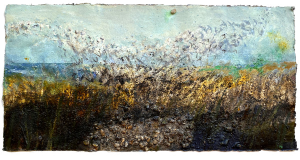 Reed Rush Murmuration._January_2021 by Frances Hatch