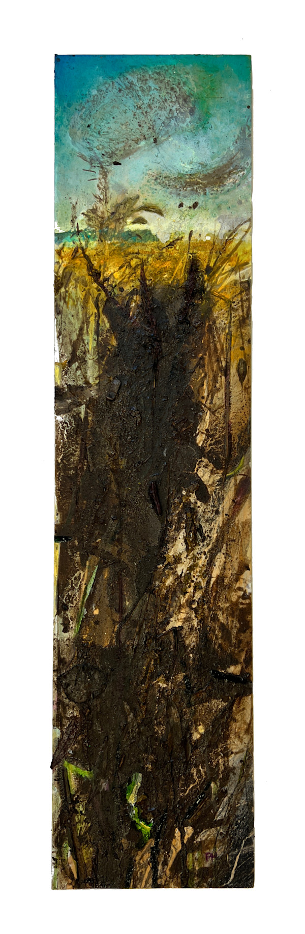 REED MURMURATION. Lodmoor.