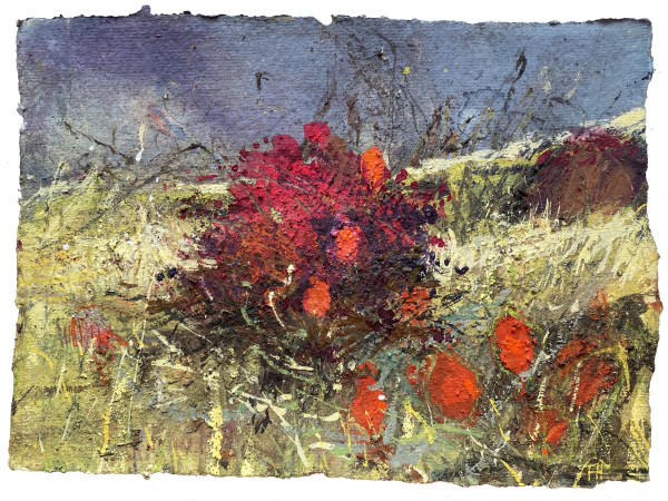 Hips and Haws on a Thundery Day by Frances Hatch
