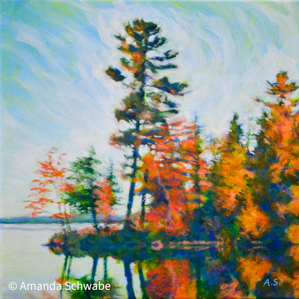 White Pine, Golden Lake by Amanda Schwabe, Image 1.