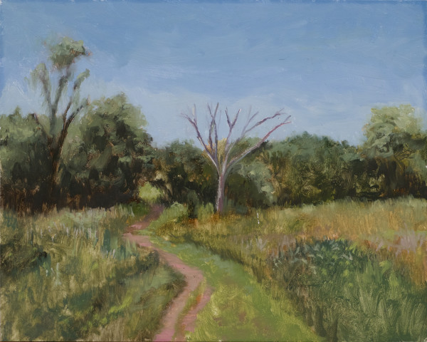 Rock Meadow by Paul Beckingham