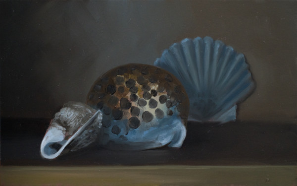 Sea Shells by Paul Beckingham