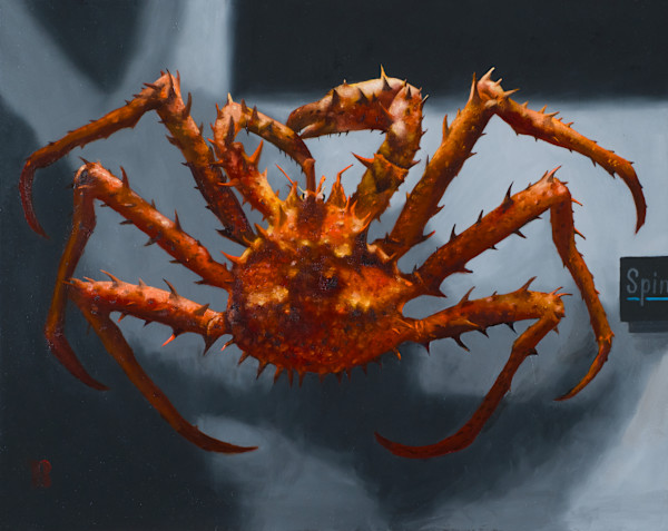 LITHODES lithodidae by Paul Beckingham